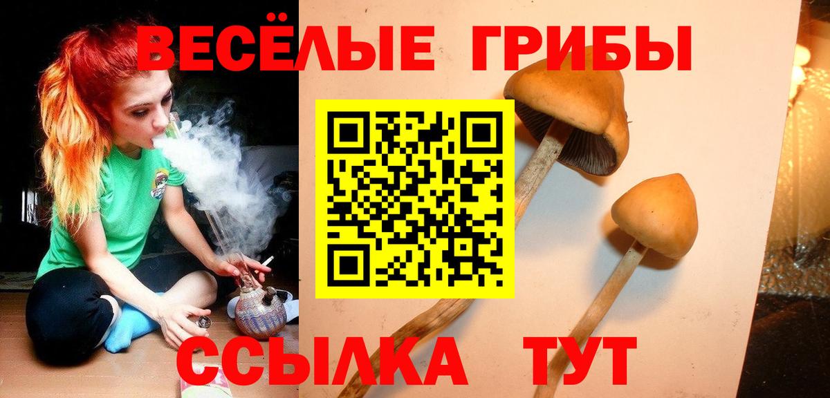 Галлюциногенные грибы Psilocybe  Вход с VPN  наркота  Воронеж  Псилоцибиновые грибы прущие грибы 
